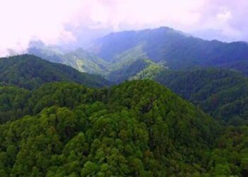 ¡Si se pudo! El Merendón se mantiene como zona de reserva: pobladores frenan cambio a parque nacional