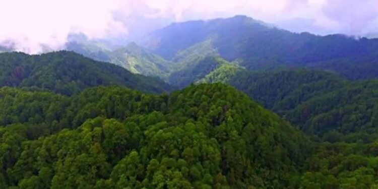 ¡Si se pudo! El Merendón se mantiene como zona de reserva: pobladores frenan cambio a parque nacional