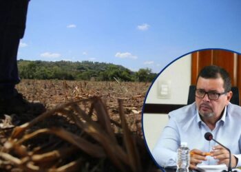 SAG asegura que no hay hambre por sequía, aunque un 10% de la población enfrenta riesgo alimentario