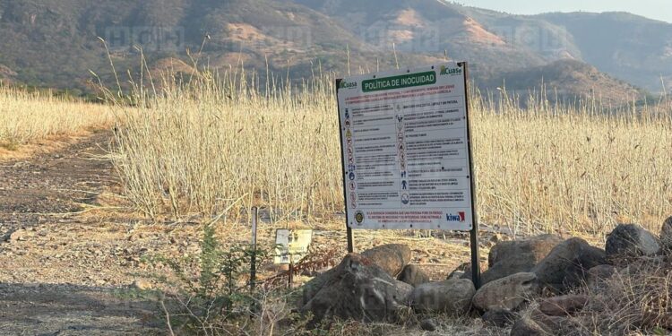 ¡El sol no da tregua! Plantaciones de okra se secan por falta de agua en la zona sur