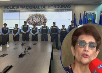 Si siguen con “las mismas costumbres”, la nueva división policial será “más de lo mismo”: Excomisionada Borjas