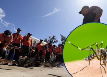 Honduras registra más de 3 mil casos sospechosos de dengue y refuerza la prevención
