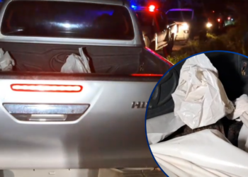 ¡Macabro hallazgo! Encuentran osamenta de una persona en Puerto Cortés
