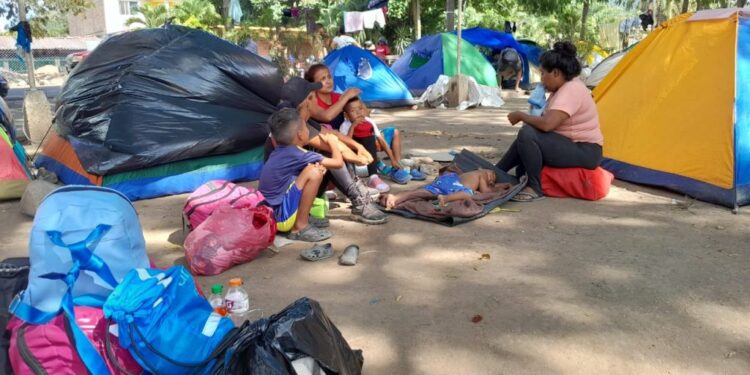 Mujeres solas, niños en riesgo en la ruta migratoria y el impacto silencioso que atraviesa Honduras