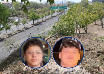 Árboles arrancados y partes de la camioneta dispersas, así quedó la escena donde murieron jovencitos que hacían “Piques”