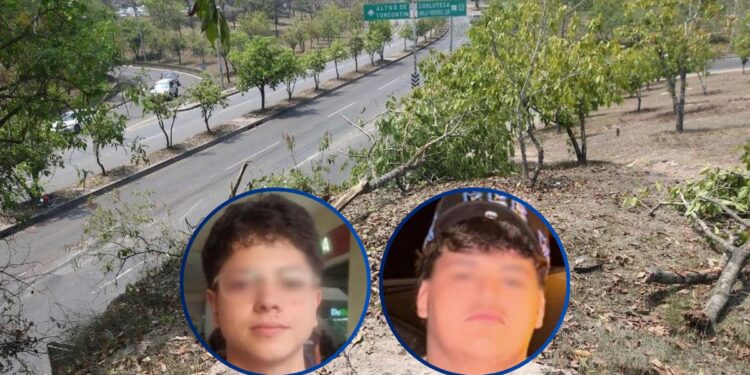 Árboles arrancados y partes de la camioneta dispersas, así quedó la escena donde murieron jovencitos que hacían “Piques”