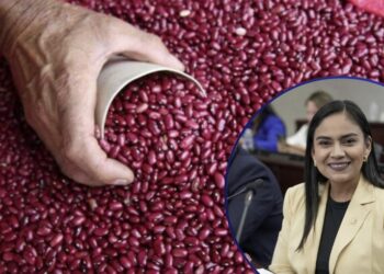 ¿Qué paso con los frijoles? Diputada presenta moción para investigar pérdida millonaria de frijoles en el IHMA