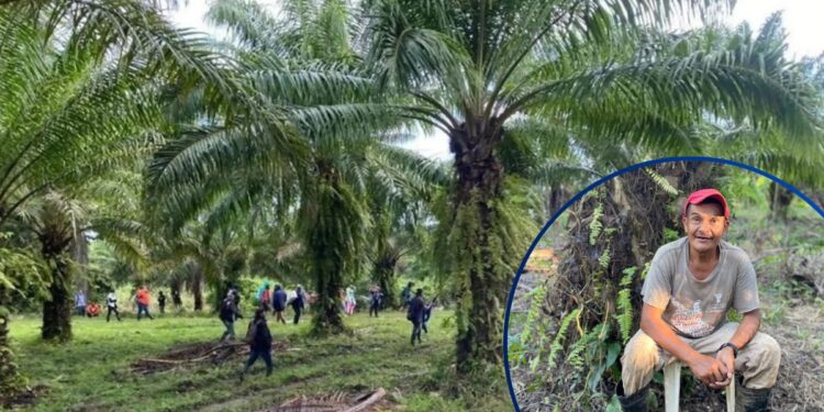 Identifican a las 20 víctimas mortales de la sádica masacre dentro de una iglesia en finca de Colón