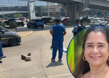 Buscaban desesperadamente a su madre, pero ella había tomado una lamentable decisión en un puente sampedrano