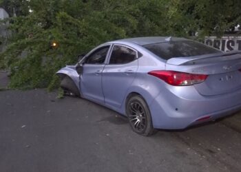 Cipote agarró el carro de un taller en SPS, lo chocó con otro y terminó ensartado en un árbol de morro