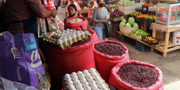 ¡Cada vez todo más caro! Registran que la mayoría de productos de la canasta básica han reportado incrementos en este mes