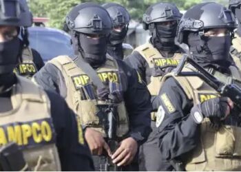 Consejo de Defensa y Seguridad determinó la eliminación de la DIPAMPCO