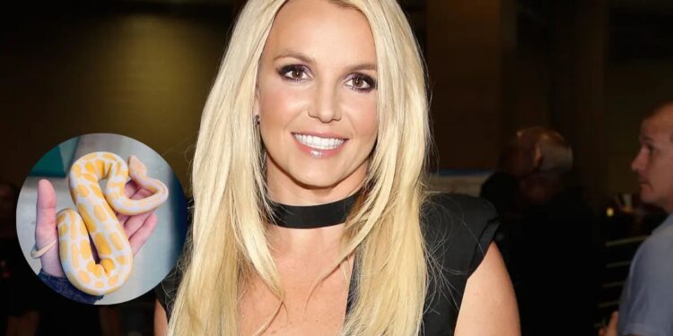 Britney Spears sorprende con una serpiente en Instagram y habla de un “viaje espiritual”
