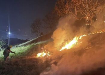 Más de 600 incendios forestales se registran a nivel nacional, según el Cuerpo de Bomberos