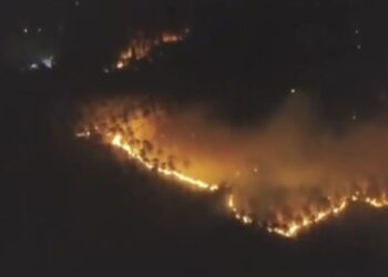 Evacúan a unas 3 mil 500 personas por el incendio de un monte: el fuego se ha extendido por el viento