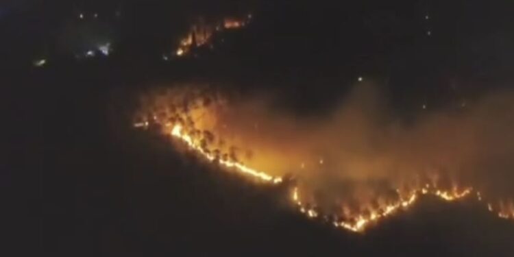 Evacúan a unas 3 mil 500 personas por el incendio de un monte: el fuego se ha extendido por el viento
