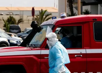 La OMS eleva a cinco los casos confirmados de hantavirus pero califica el riesgo como “bajo” tras el brote originado en el crucero MV Hondius