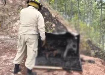 Familiares de las víctimas que fueron calcinadas en El Cimarrón serán sometidas a pruebas de ADN para la identificación