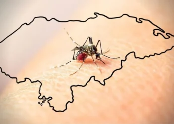 Honduras supera los 3 mil casos de dengue y mantienen alerta por aumento de casos