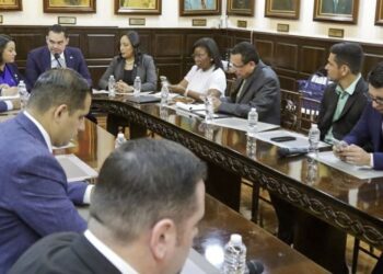 Congreso Nacional discute temas relacionados con la elección de los puestos para los órganos electorales