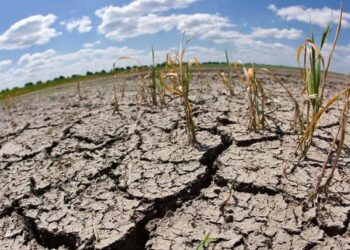 ¡ALERTA! Sequía y calor extremo agravan crisis alimentaria en el sur de Honduras