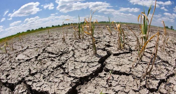 ¡ALERTA! Sequía y calor extremo agravan crisis alimentaria en el sur de Honduras