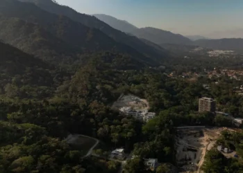 Más de 134 mil firmas en defensa de bosques de El Merendón y en oposición que sea un parque nacional