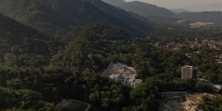 Más de 134 mil firmas en defensa de bosques de El Merendón y en oposición que sea un parque nacional