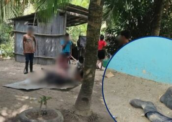 ¡Arrecia la violencia en Honduras! Masacran a 19 personas en Rigores, Trujillo, entre ellas tres hermanas