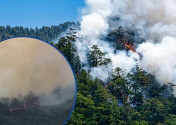 ¡Catástrofe en Celaque! Incendio forestal arrasa miles de hectáreas de flora y fauna en Lempira