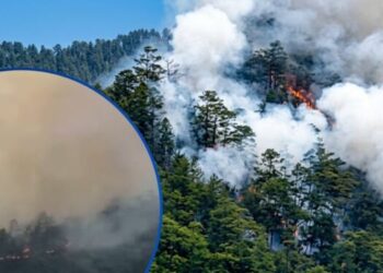 Ofrecen $ 2,000 por quien dé información de los pirómanos que le metieron fuego a la montaña Celaque