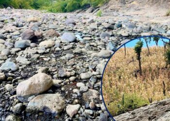 ¡La sequía golpea sin tregua! Pérdidas agropecuarias y más de 2,700 familias afectadas en Apacilagua
