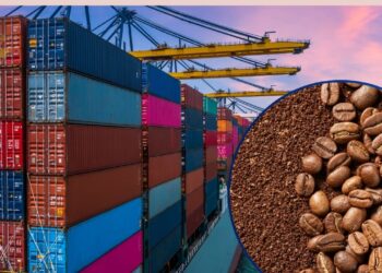 ¡Positivo! Exportaciones de café incrementaron en un 37% respecto al año anterior