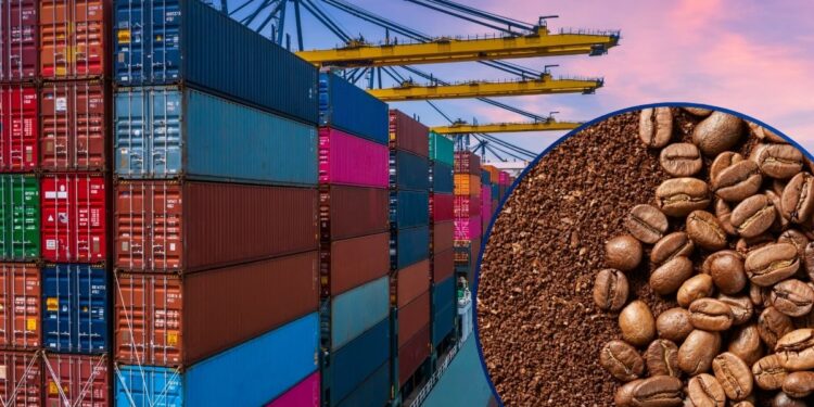 ¡Positivo! Exportaciones de café incrementaron en un 37% respecto al año anterior