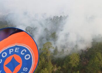 ¡Sospecha de crimen ambiental! Investigan incendios en La Tigra con posible mano humana y avance de invasiones ilegales