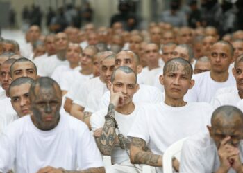 Condenan a 254 pandilleros a penas de 85 años de cárcel en un juicio masivo en El Salvador