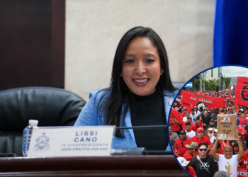 Diputada nacionalista culpa al Partido Libre de boicotear el “Enorme” trabajo de Nasry Asfura