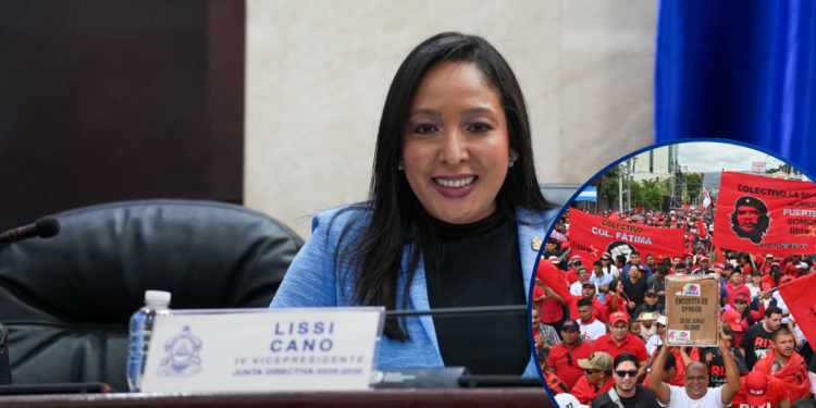 Diputada nacionalista culpa al Partido Libre de boicotear el “Enorme” trabajo de Nasry Asfura