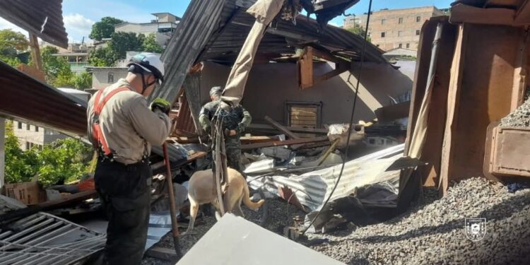 ¡Los caninos también salvaron vidas! Perros rescatistas agilizaron el rescate en tragedia de Villa Nueva