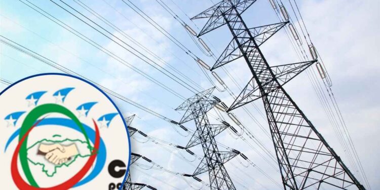 Coalición Patriótica exige blindar la ENEE y frenar cualquier intento de privatización