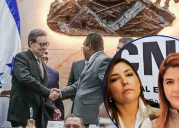 Cossette y Ana Paola al servicio exterior; y nombran autoridades interinas en CNE y TJE | Resumen Legislativo