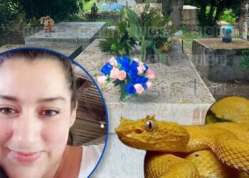 Denuncian negligencia médica en muerte de mujer mordida por una barba amarilla en Choloma