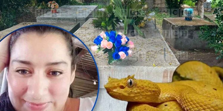 Denuncian negligencia médica en muerte de mujer mordida por una barba amarilla en Choloma