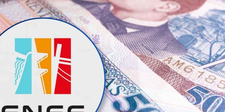 La ENEE pierde L41 millones al día, afirman sectores que impulsan una reforma eléctrica