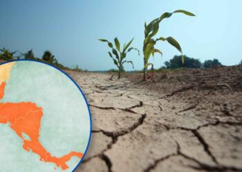 Advierten sequías, crisis agrícola y riesgo de escasez de agua por “El Niño” en Centroamérica