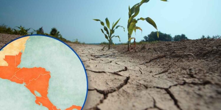 Advierten sequías, crisis agrícola y riesgo de escasez de agua por “El Niño” en Centroamérica
