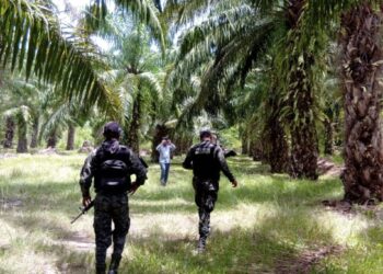 Confirman grave daño en una zona protegida de Esparta, Atlántida