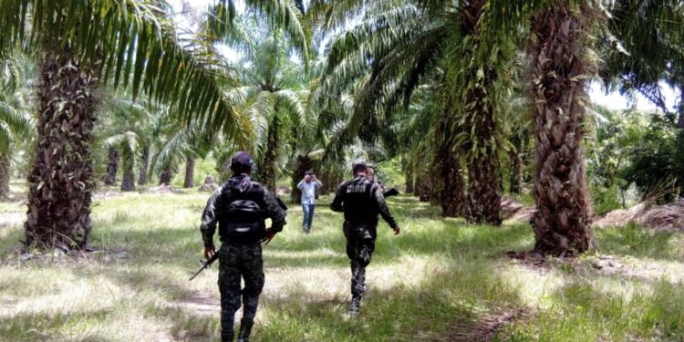 Confirman grave daño en una zona protegida de Esparta, Atlántida