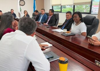 Comisión de Salud del CN y Colegio Médico buscan salida a crisis del sistema sanitario
