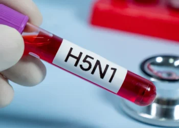 Honduras confirma primer caso de influenza aviar H5 en aves silvestres